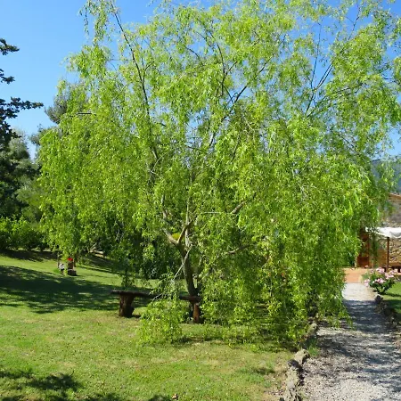 Holiday home Pino Di Sopra By Interhome