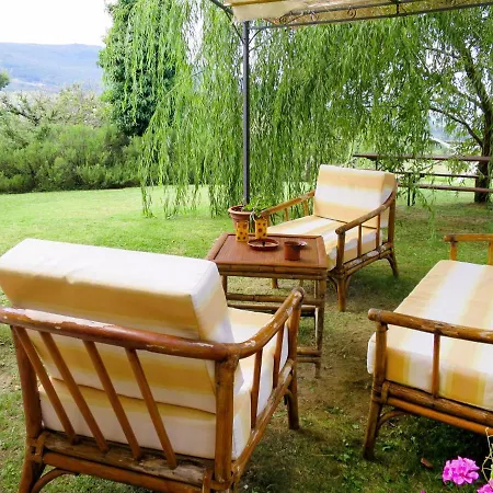 Pino Di Sopra By Interhome Holiday home *