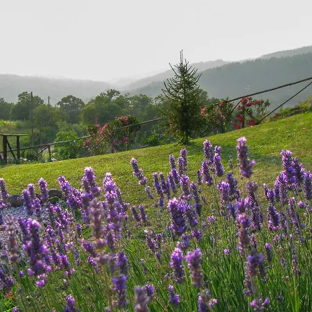 Holiday home Pino Di Sopra By Interhome Sasso Pisano